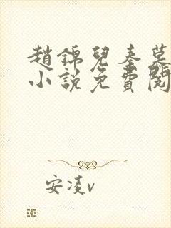 赵锦儿秦慕修的小说免费阅读全文