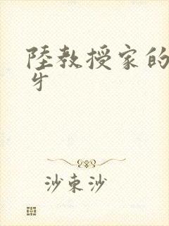 陆教授家的小月牙