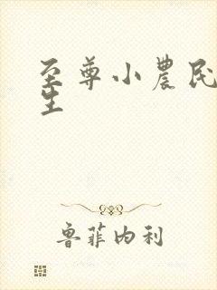 至尊小农民王木生