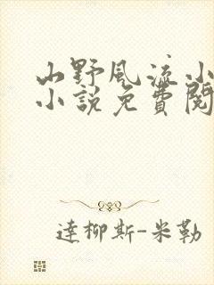 山野风流小神医小说免费阅读