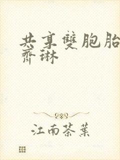 共享双胞胎齐娜齐琳