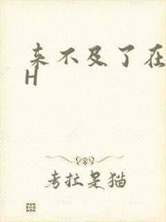 来不及了在车CH