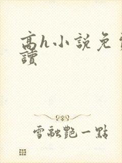 高h小说免费阅读