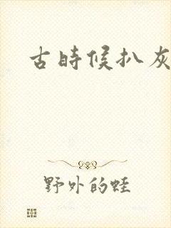 古时候扒灰小说