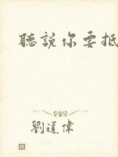 听说你要抵抗我