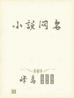 小说网名