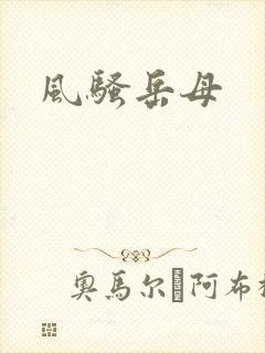 风骚岳母