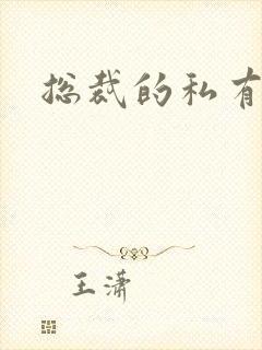 总裁的私有宝贝