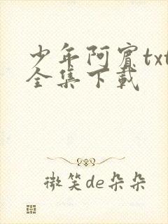 少年阿宾txt全集下载