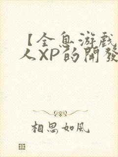 【全息游戏】美人XP的开发日常