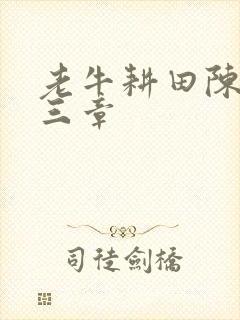 老牛耕田陈雪第三章