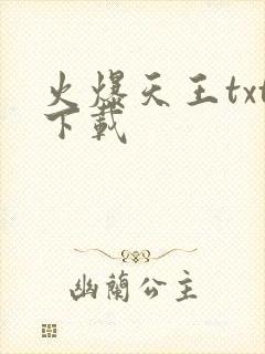火爆天王txt下载