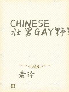 CHINESE壮男GAY野战强迫TUBE