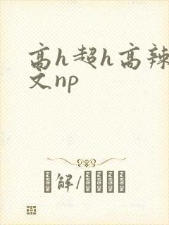 高h超h高辣h文np