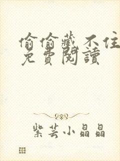 偷偷藏不住小说免费阅读