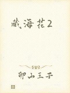 藏海花2