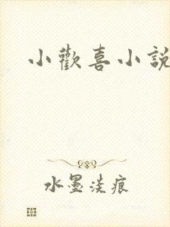 小欢喜小说