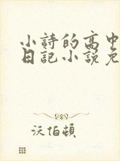 小诗的高中成长日记小说免费阅读