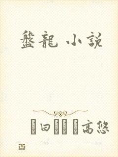 盘龙 小说