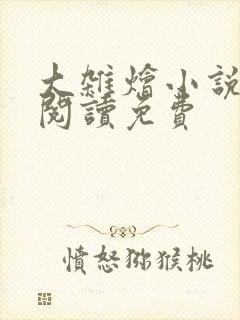 大杂烩小说全集阅读免费