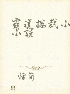 霸道总裁小娇妻小说