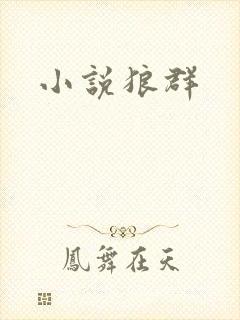 小说狼群
