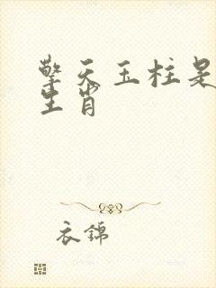 擎天玉柱是什么生肖