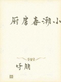 厨房春潮小说