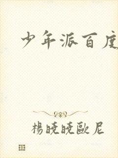 少年派百度百科