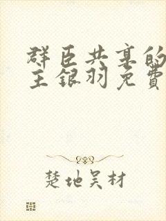 群臣共享的小公主银羽免费阅读