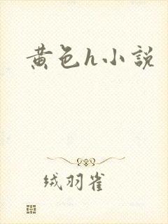 黄色h小说