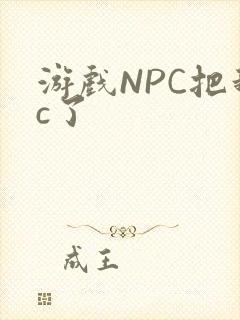 游戏NPC把我c了