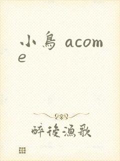 小鸟 acome