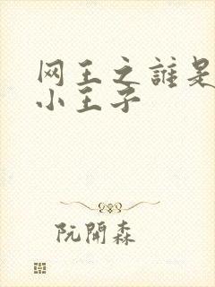 网王之谁是我的小王子