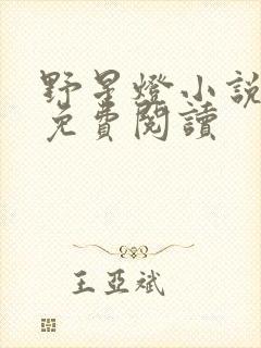 野星灯小说全文免费阅读