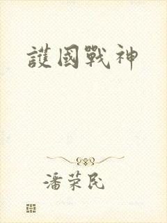 护国战神