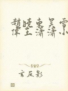 赵晓东吴雪晴郑伟王潇潇小说