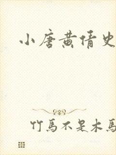 小唐黄倩史