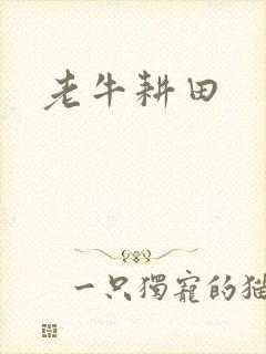 老牛耕田