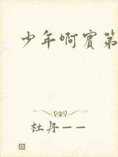 少年啊宾第二部