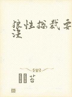 狼性总裁要够了没