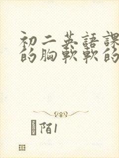 初二英语课代表的胸软软的