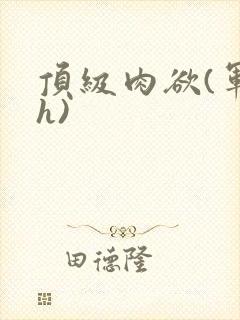 顶级肉欲(军高h)