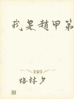 我是赵甲第小说