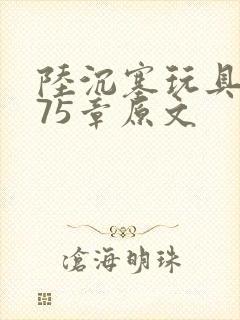 陆沉塞玩具高速75章原文