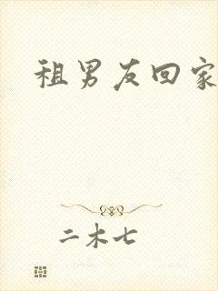 租男友回家过年