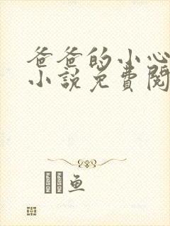 爸爸的小心肝儿小说免费阅读