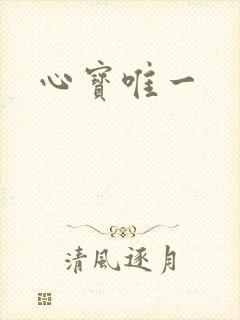心宝唯一