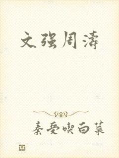 文强周涛