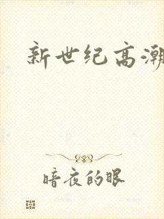 新世纪高潮战队